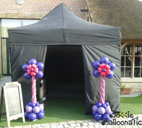 Ballondecoratie Ballonzuil Thema Bloem