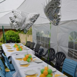 Ballondecoratie Tafeldecoratie Thema Vlinder