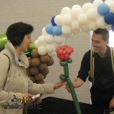 Ballonplooien - Roos