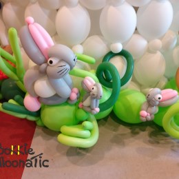 Projecten - Balloonarium 2017
